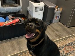 Brody 28SEP24