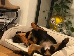 Stella 28SEP24